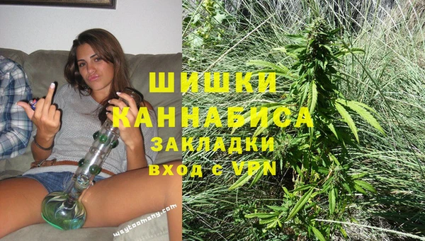 спайс Баксан