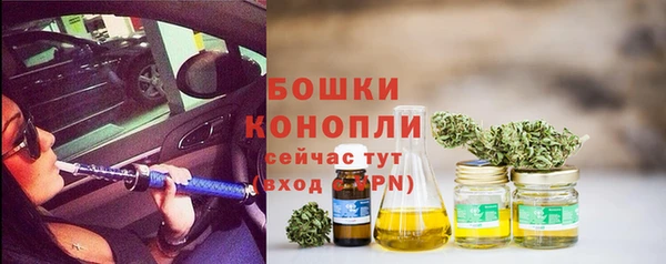спайс Баксан