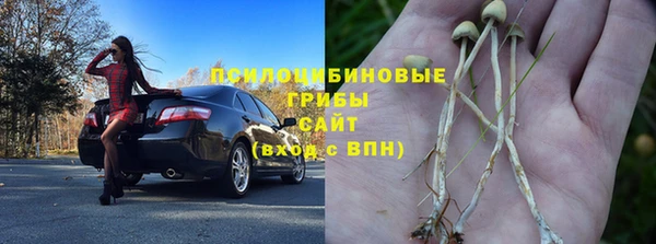 ПСИЛОЦИБИНОВЫЕ ГРИБЫ Балабаново