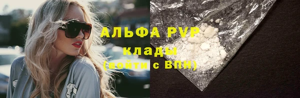 ПСИЛОЦИБИНОВЫЕ ГРИБЫ Балабаново